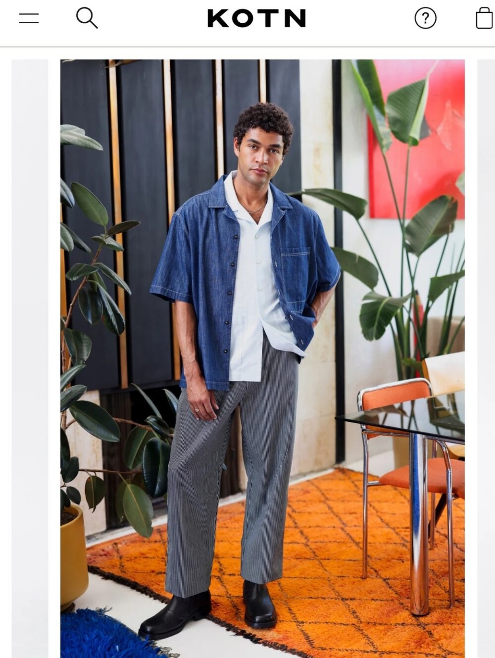 KOTN Gray Pinstripe Men’s Jeans